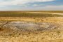 В Астраханской области бушует засуха