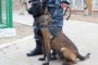 В Астраханской области служебная полицейская собака нашла наркотики у сельчанина
