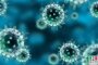 Более 4000 астраханцев заразились коронавирусной инфекцией