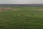 В Астраханской области обнаружены загадочные круги на полях