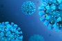 У 24% астраханцев обнаружили иммунитет к коронавирусу