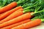 Россельхознадзор не пустил в Астраханскую область 1,5 тонны моркови
