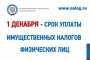 Астраханцам напоминают о сроках уплаты налогов