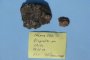 Метеорит из чилийской пустыни пополнил коллекцию клуба астрономов в Астрахани