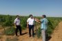 В Астраханской области планируют развивать виноделие и&#160;выращивать фисташки