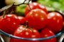 Приволжский район Астраханской области собрал 25 тысяч тонн томатов