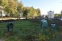 Клумбы и&#160;газоны на площади Ленина в&#160;Астрахани готовят к&#160;зиме