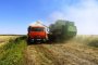 Астраханские фермеры собрали урожай риса на треть больше, чем в&#160;2020 году