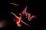 С 24 сентября на арене Астраханского государственного цирка стартует новая программа шоу &#171;Джемелли&#187;