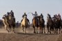 Верблюжьи бега и этноярмарка &quot;Южный базар&quot; прошли в Астраханской области