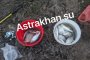 Документы, разрешения и&#160;граница: стоит ли астраханцам ехать в&#160;Казахстан за воблой?