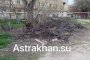 Коммунальщики несколько лет не вывозят из астраханского двора опиленные ветки