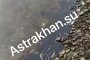Астраханцы продолжают замечать мазутные пятна на поверхности Волги