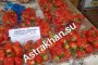 Сколько стоит астраханская клубника в&#160;мае?