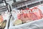 Что происходит с&#160;ценами на сазанью икру в&#160;Астрахани?