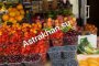 Какие ягоды и&#160;фрукты сейчас можно купить на астраханских рынках?