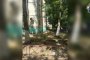 В Астрахани выпала из окна и&#160;насмерть разбилась маленькая девочка