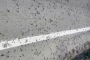 Полчища насекомых засняли на въезде в&#160;Астрахань