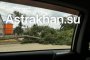 В Астрахани огромное дерево упало на дорогу