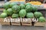В Астраханской области появились первые местные арбузы?