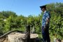 Двое астраханцев погибли в&#160;канализационном коллекторе