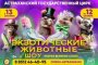 В Астраханском цирке пройдет невероятное шоу &#171;Магия великих слов&#187;