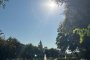 Завтра астраханцев ожидает солнечный день