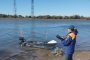 Накануне в&#160;Астраханской области случилось сразу два происшествия на&#160;воде