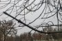 11 октября в&#160;Астраханской области вновь ожидается дождь