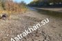 Астраханцы бьют тревогу из-за критического обмеления ерика Малая&#160;Дарма