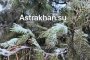 Первый снег застал астраханцев врасплох