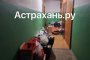 Не квартира, а помойка: как астраханцы превращают свое жилье в мусорный полигон и что с этим делать?