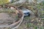 В Астрахани огромное дерево рухнуло на автомобиль и оборвало провода В Астрахани огромное дерево рухнуло на автомобиль и оборвало провода