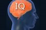Школьников предлагают в обязательном порядке проверять на IQ