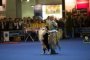 В России впервые пройдет чемпионат мира по танцам с собаками