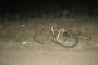 В Астраханской области ищут водителя, сбившего 17-летнего велосипедиста