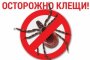 В Астраханской области активизировались клещи