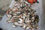 Житель Астраханской области выловил 50 кг рыбы с помощью электрического разряда