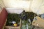 У Астраханца изъято около 2,5 килограммов наркотиков