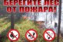 Астраханцам нельзя находится в лесу до 16 августа