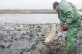 Астраханские предприятия вырастили в этом году 18 тыс тонн прудовой рыбы