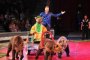 Цирковая династия Филатовых представляет в Астраханском цирке новую программу