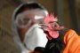 Из-за вспышки птичьего гриппа продукцию астраханской птицефабрики изымают с прилавков