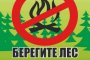 АГУ заплатит триста тысяч рублей за нарушение лесного законодательства