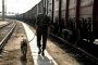 Житель Казахстана спрятался в грузовом поезде, чтобы проникнуть на территорию России
