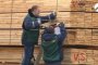 Иранские бизнесмены проверили качество древесины в астраханском порту