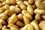 На рынках появляется астраханская картошка. Цены снизились, но незначительно