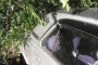 В Астрахани дерево упало на машины