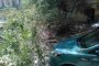 В центре Астрахани упавшее дерево вызвало автомобильный коллапс