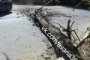 В центре Астрахани в очередной раз упало дерево